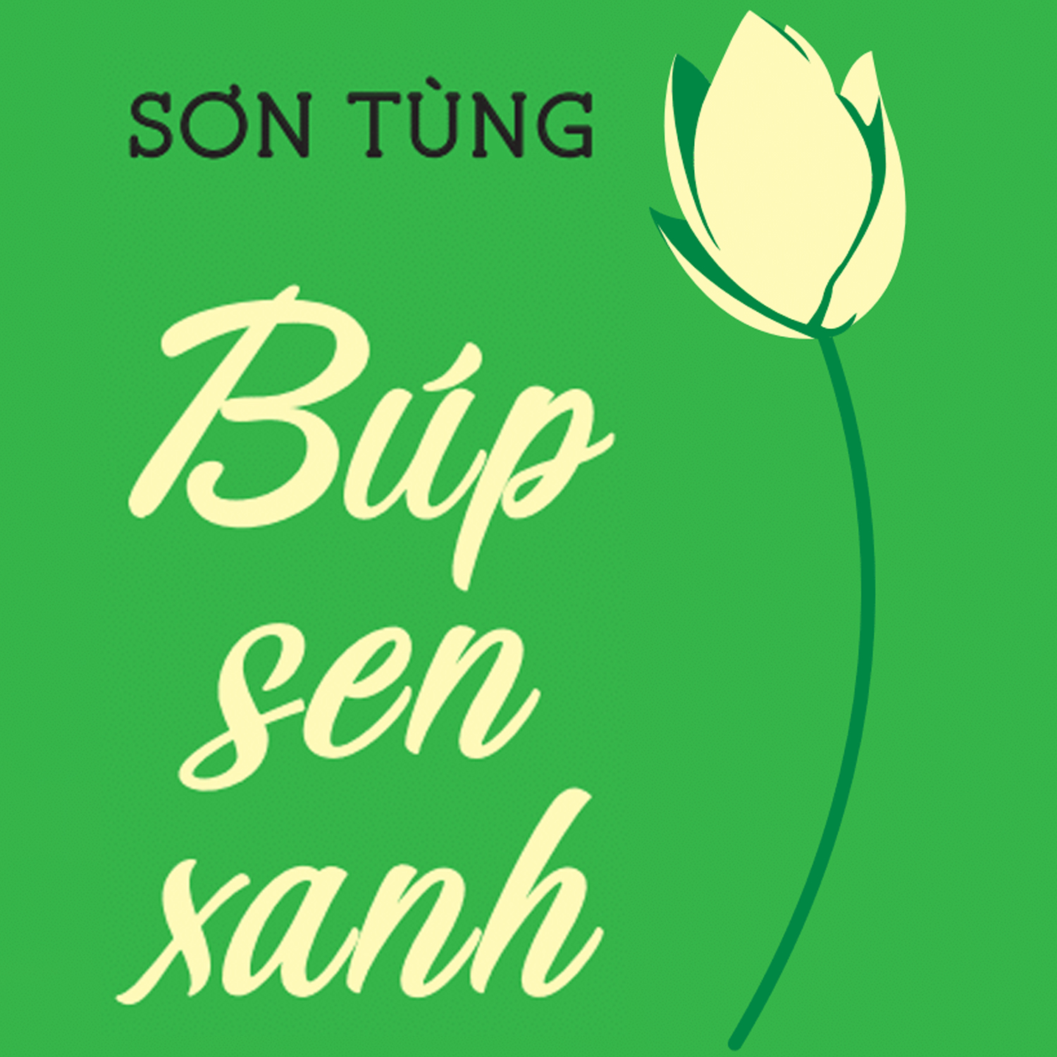 B p sen xanh s n t ng voizfm